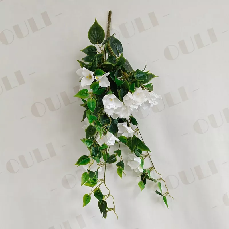 Falska bougainvillea hängande blommor