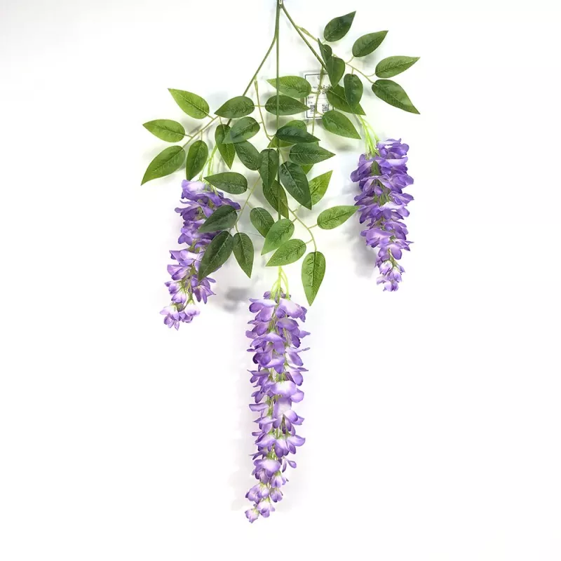 Falska wisteria -grenar