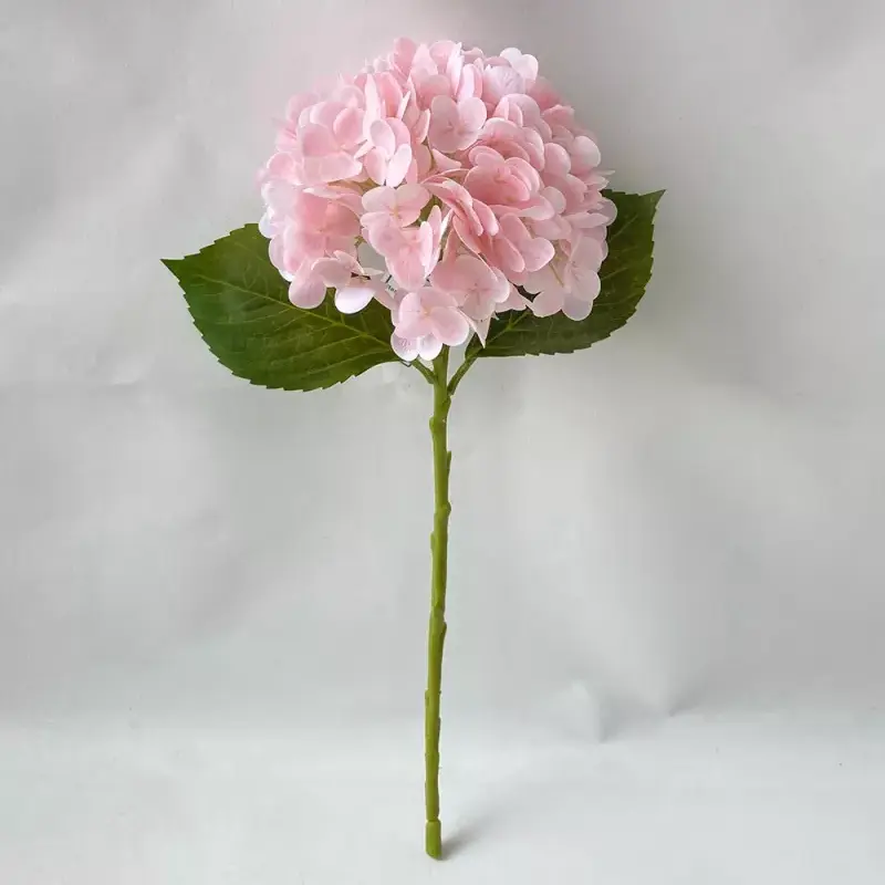 Verklig beröring av konstgjorda hortensia