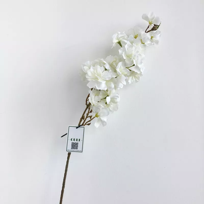 Verklig beröring av körsbärsblomgrenar