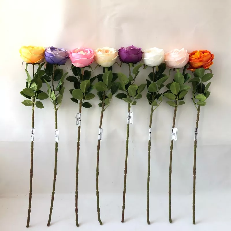 Vita falska pionblommor