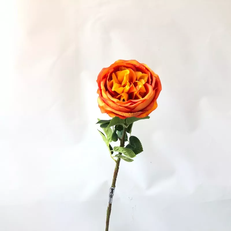 Vita falska pionblommor