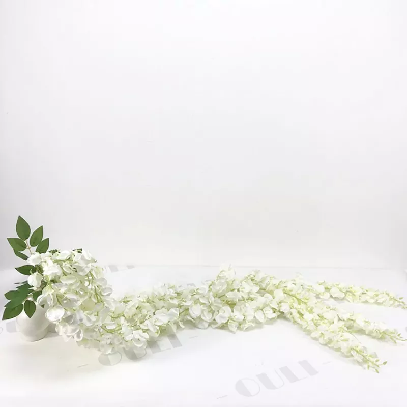 Vita falska wisteria blommor